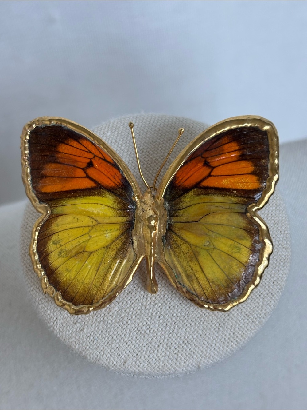 Vintage Natures Jewelry Real Butterfly Brooch Pin Or Necklace In 24 Kt Gold